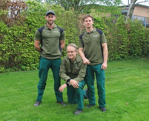 Team hos Tosset med Græs